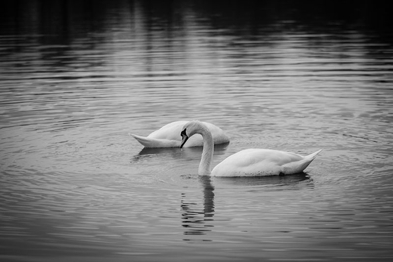 img_2476.jpg